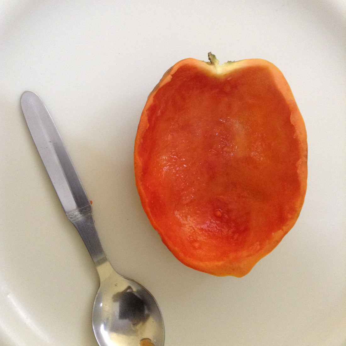 Picture of Papaya